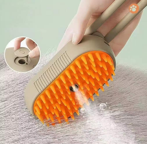 Brosse à vapeur rechargeable